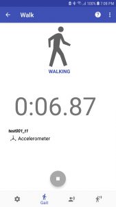 Gait Analysis